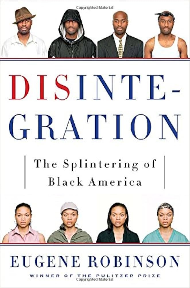 Disintegration: The Splintering of Black America