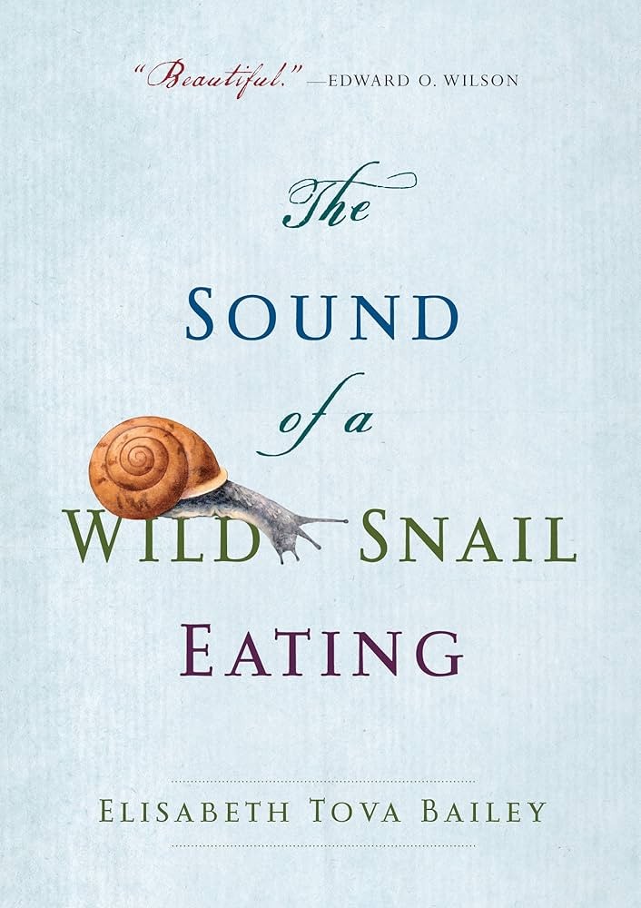 The Sound of a Wild Snail Eating