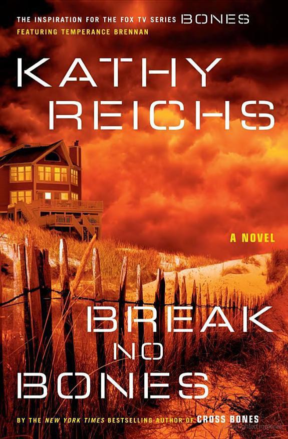 Break No Bones: A Novel