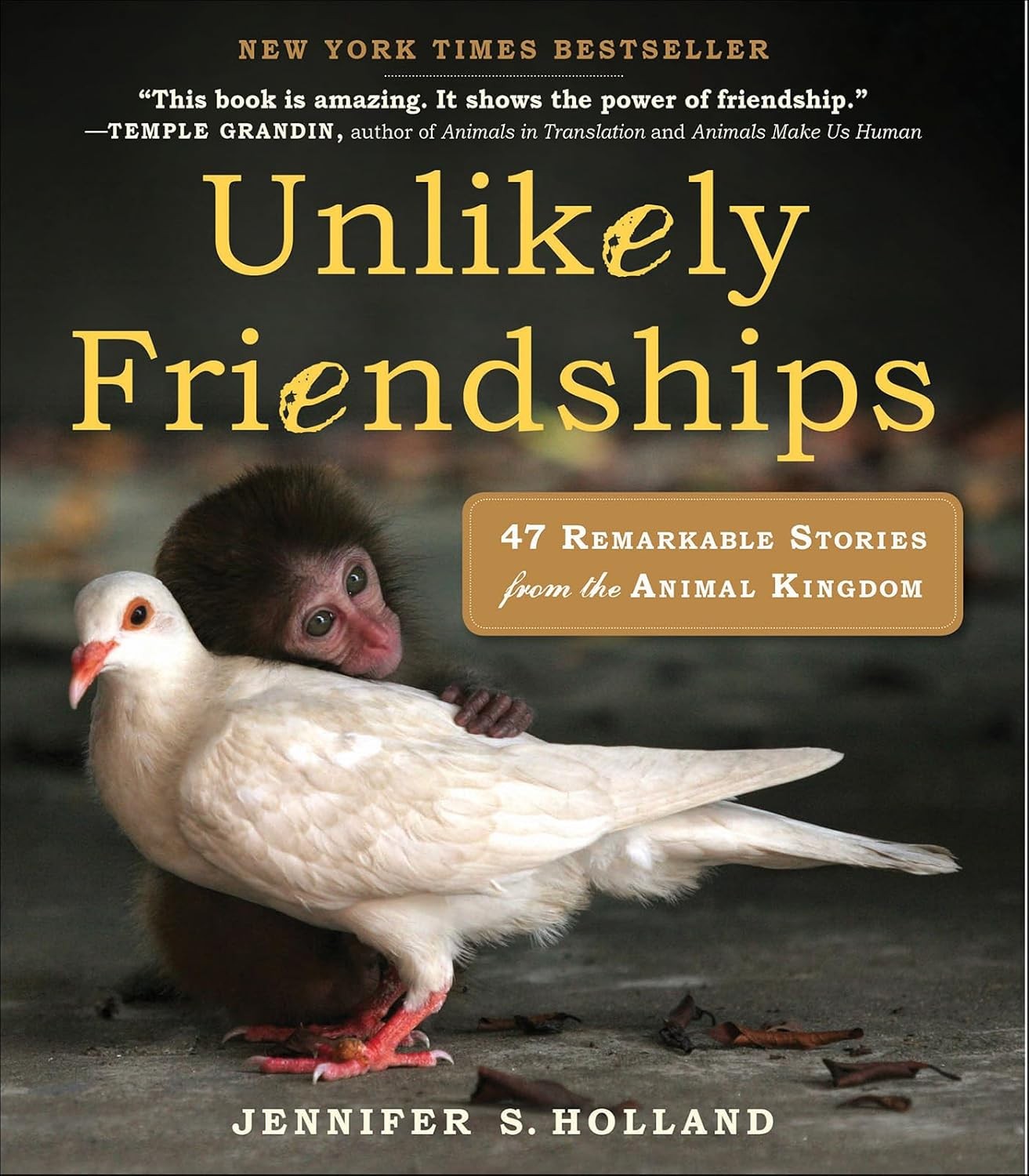 Unlikely Friendships: 47 Remarkable Stories From the Animal Kingdom