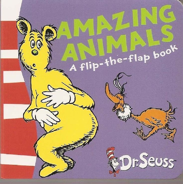 Amazing Animals: A Lift-The-Flap Book